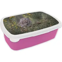 MuchoWow Broodtrommel Roze - Lunchbox - Brooddoos - Een kleine bruine uil zit naar voren te staren - 18x12x6 cm - Kinderen - Meisje