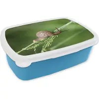 MuchoWow Broodtrommel Blauw - Lunchbox - Brooddoos - Kruipende slak - 18x12x6 cm - Kinderen - Jongen