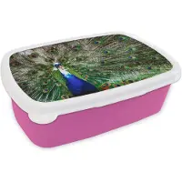 MuchoWow Broodtrommel Roze - Lunchbox - Brooddoos - Pauw - Veren - Wit - Blauw - 18x12x6 cm - Kinderen - Meisje