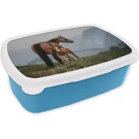 MuchoWow Broodtrommel Blauw - Lunchbox - Brooddoos - Paard - Veulen - Berg - 18x12x6 cm - Kinderen - Jongen