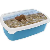 MuchoWow Broodtrommel Blauw - Lunchbox - Brooddoos - Portret van een IJslander paard in de winter - 18x12x6 cm - Kinderen - Jongen