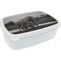 MuchoWow Broodtrommel Wit - Lunchbox - Brooddoos - Twee olifanten bij zonsondergang - zwart wit - 18x12x6 cm - Volwassenen