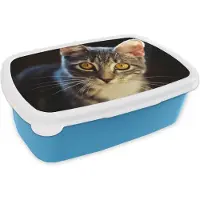 MuchoWow Broodtrommel Blauw - Lunchbox - Brooddoos - Katten - Dieren - Ogen - Grijs - 18x12x6 cm - Kinderen - Jongen