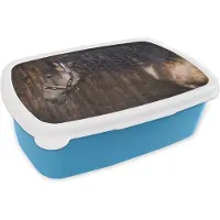 MuchoWow Broodtrommel Blauw - Lunchbox - Brooddoos - Paard - Zwart - Bruin - Halster - 18x12x6 cm - Kinderen - Jongen