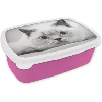 MuchoWow Broodtrommel Roze - Lunchbox - Brooddoos - Britse korthaar van dichtbij - zwart wit - 18x12x6 cm - Kinderen - Meisje