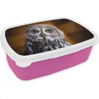 MuchoWow Broodtrommel Roze - Lunchbox - Brooddoos - Portret van de laplanduil - 18x12x6 cm - Kinderen - Meisje