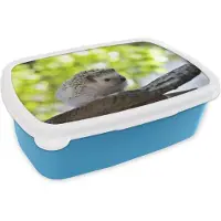 MuchoWow Broodtrommel Blauw - Lunchbox - Brooddoos - Kleine egel in boom - 18x12x6 cm - Kinderen - Jongen