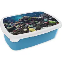 MuchoWow Broodtrommel Blauw - Lunchbox - Brooddoos - Aquarium met tropische vissen en koralen - 18x12x6 cm - Kinderen - Jongen