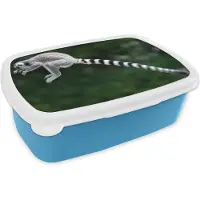 MuchoWow Broodtrommel Blauw - Lunchbox - Brooddoos - Aap - Ringstaartmaki - Bos - 18x12x6 cm - Kinderen - Jongen