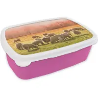 MuchoWow Broodtrommel Roze - Lunchbox - Brooddoos - Dieren - Schaap - Gras - 18x12x6 cm - Kinderen - Meisje