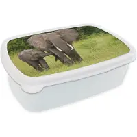 MuchoWow Broodtrommel Wit - Lunchbox - Brooddoos - Olifant - Kalf - Landschap - 18x12x6 cm - Volwassenen
