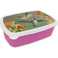 MuchoWow Broodtrommel Roze - Lunchbox - Brooddoos - Kolibrie - Bloemen - Oranje - 18x12x6 cm - Kinderen - Meisje