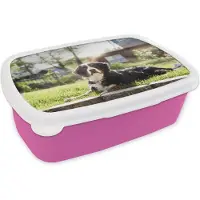 MuchoWow Broodtrommel Roze - Lunchbox - Brooddoos - Zonnestralen langs de Berner Sennenhond - 18x12x6 cm - Kinderen - Meisje