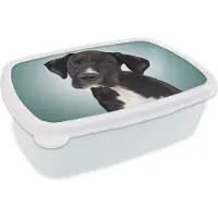 MuchoWow Broodtrommel Wit - Lunchbox - Brooddoos - Lieve zwart-witte hond - 18x12x6 cm - Volwassenen