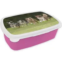 MuchoWow Broodtrommel Roze - Lunchbox - Brooddoos - 4 rennende honden op een rij - 18x12x6 cm - Kinderen - Meisje