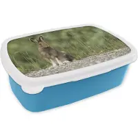 MuchoWow Broodtrommel Blauw - Lunchbox - Brooddoos - Haas - Dier - Gras - 18x12x6 cm - Kinderen - Jongen