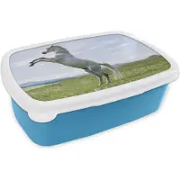 MuchoWow Broodtrommel Blauw - Lunchbox - Brooddoos - Paard - Steigeren - Natuur - 18x12x6 cm - Kinderen - Jongen