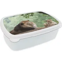 MuchoWow Broodtrommel Wit - Lunchbox - Brooddoos - Leeuw - Boom - Plant - 18x12x6 cm - Volwassenen
