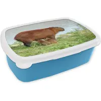 MuchoWow Broodtrommel Blauw - Lunchbox - Brooddoos - Een Capibara met twee jongen bij het water - 18x12x6 cm - Kinderen - Jongen