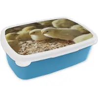 MuchoWow Broodtrommel Blauw - Lunchbox - Brooddoos - Baby kuikentjes in het zaagsel - 18x12x6 cm - Kinderen - Jongen