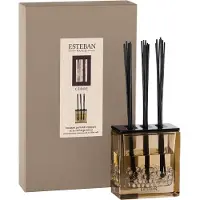 Esteban Classic Cedre Geurdiffuser Triptyque 250 ml