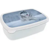 MuchoWow Broodtrommel Wit - Lunchbox - Brooddoos - Husky - Sneeuw - Natuur - 18x12x6 cm - Volwassenen