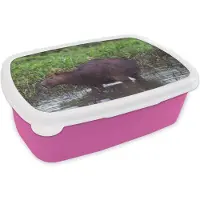 MuchoWow Broodtrommel Roze - Lunchbox - Brooddoos - Een Capibara in een moeras gebied - 18x12x6 cm - Kinderen - Meisje