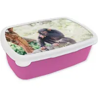 MuchoWow Broodtrommel Roze - Lunchbox - Brooddoos - Close-up chimpansee aap zittend in het bos - 18x12x6 cm - Kinderen - Meisje