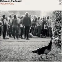 Pias Various Artists - End Of The Road Presents Between The Music Vol.1 (CD)