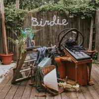 Konkurrent Slaughter Beach, Dog - Birdie (LP) (Coloured Vinyl)