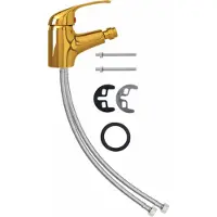 vidaXL Bidetkraan 13x12 cm goudkleurig