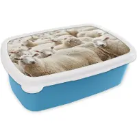 MuchoWow Broodtrommel Blauw - Lunchbox - Brooddoos - Schapen - Wol - Wit - 18x12x6 cm - Kinderen - Jongen