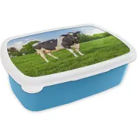 MuchoWow Broodtrommel Blauw - Lunchbox - Brooddoos - Koe - Gras - Dieren - 18x12x6 cm - Kinderen - Jongen