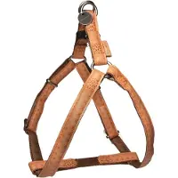 MACLEATHER tuig bruin (25 MMX60-100 CM)