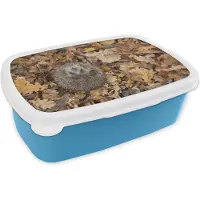 MuchoWow Broodtrommel Blauw - Lunchbox - Brooddoos - Egel opgerold in bladeren - 18x12x6 cm - Kinderen - Jongen