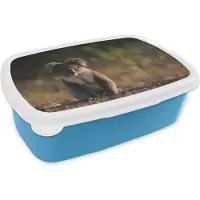 MuchoWow Broodtrommel Blauw - Lunchbox - Brooddoos - Koala - Zon - Dier - Kinderen - Jongens - Meisjes - 18x12x6 cm - Kinderen - Jongen