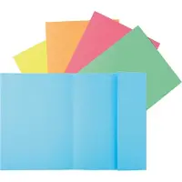 Exacompta 5x SUPER 210 - Pak van 50 dossiermappen met 1 klep - 24x32cm - Geassorteerd - 339000E