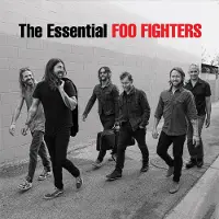 Foo Fighters CD - The essential - voor Geen - standaard | Maat Standard