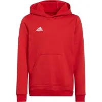 Adidas Sportief sweatshirt 'Entrada 22' rood / wit