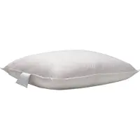 Eleganzzz Dons Hoofdkussen 60% Eendendons - 60x70cm
