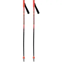 Rossignol Hero Gs Junior Stokken