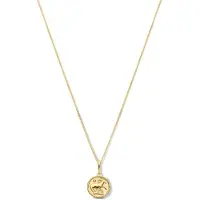 New Bling 9NBG-0298 Gouden Ketting met Sterrenbeeld - Ram - 10 mm Doorsnee - Ankerschakel - 39 + 3 + 3 cm - 0,8 mm Dik - 14 Karaat - Goud