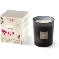 Esteban Classic Esprit de Thé Geurkaars 180gr