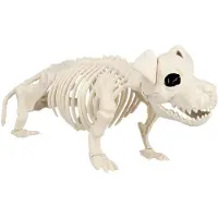 Boland Honden skelet deco | Halloween 52cm (naturel)