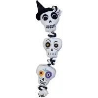 Happy pet Halloween Flostouw met schedels