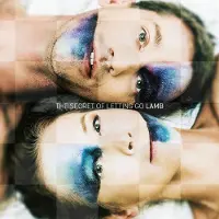 V2 Red Eye The Secret Of Letting Go (Digipack)