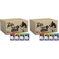 Felix 2x - Elke Dag Feest Mix Selectie in Gelei Multipack - Kattenvoer - 80x85g