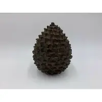 Home Sweet Home Dennenappel decoratie beeld bruin zwart staand Maat L 17 x 13 cm polysteen | 121304 | | Stoer & Sober Woonstijl