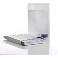 Tyvek Balgenveloppen ft 229 x 324 x 38 mm, pak van 20 stuks 5 stuks