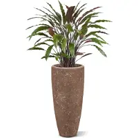 Maxifleur Kunstplanten Calathea kunstplant 85cm - groen/rood